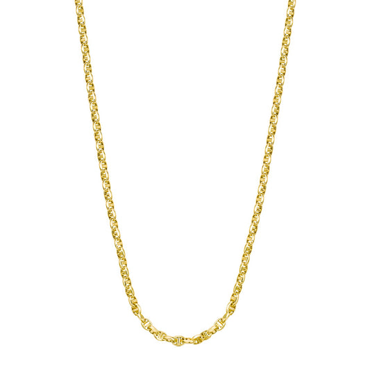 14k Yellow Gold Lite Anchor Chain (3.00 mm)